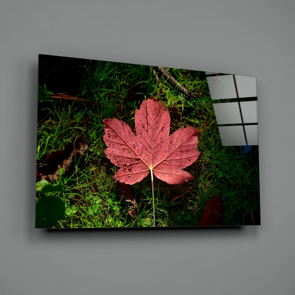 Pink-leaf panel bringing botanical calm to a contemporary living space