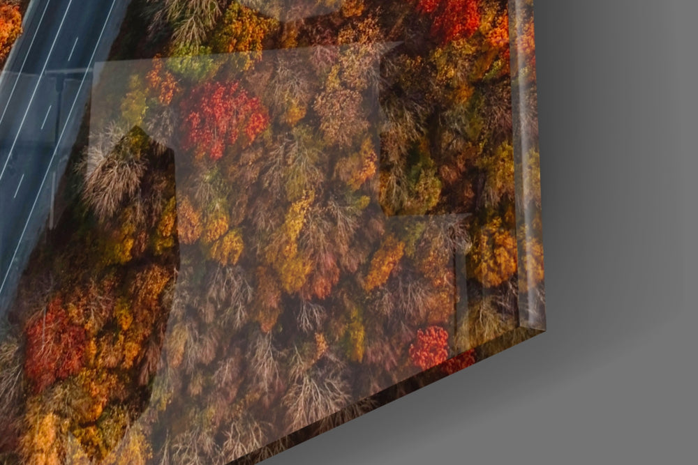 Autumn artwork anchoring a wall with warm panoramic palette