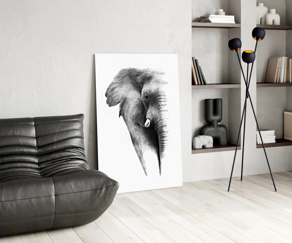 Elephant panel adding adventurous mood to a child's room