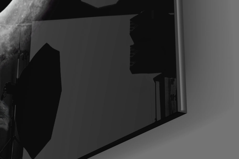 Bison artwork anchoring a wall with moody safari palette