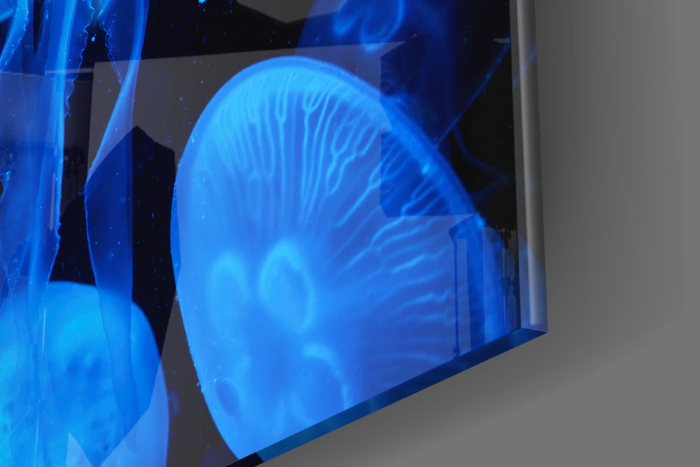 Jellyfish artwork anchoring a wall with moody aquatic palette