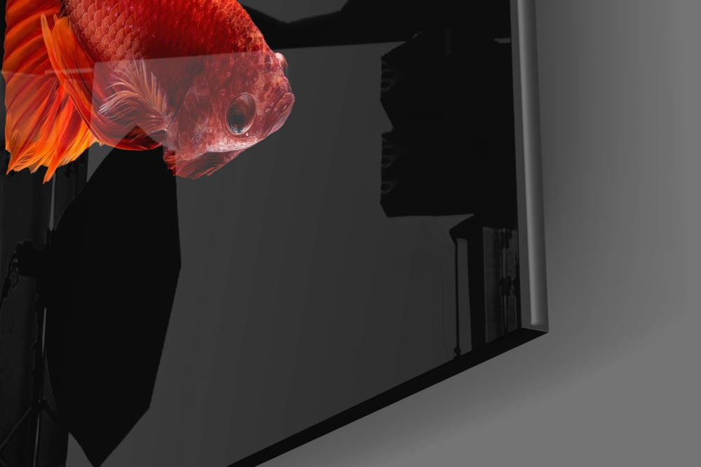 Betta's Dance artwork anchoring a wall with bold aquatic palette