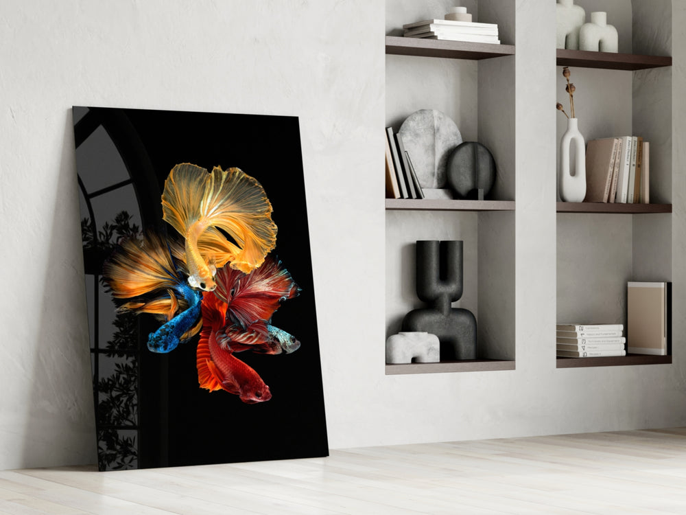 Betta's Dance glass print enhancing an aquarium nook with collector spirit