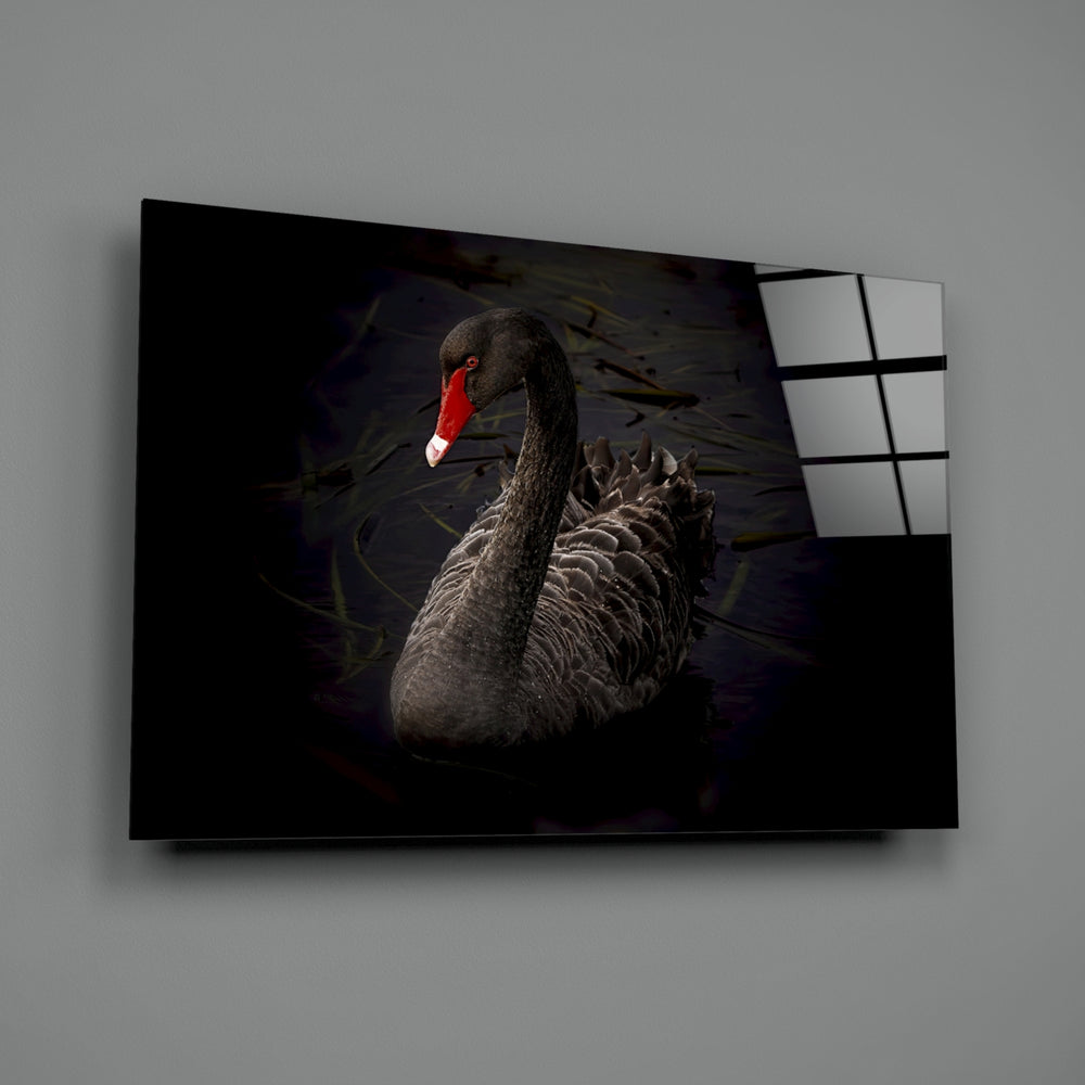 Black-swan panel bringing elegant drama to a contemporary living space