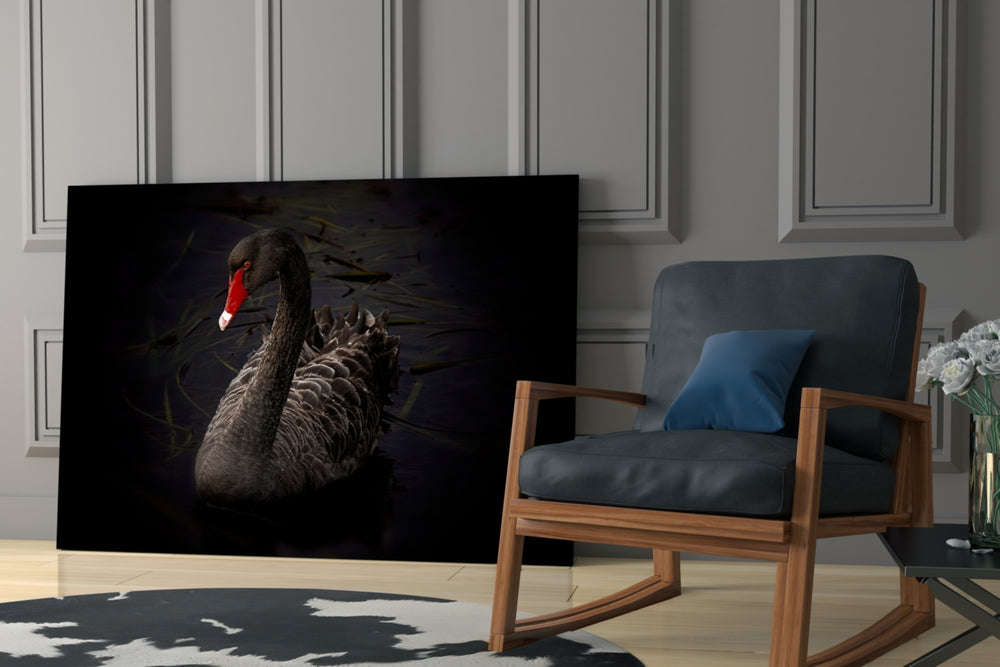 Black Swan glass print enhancing a foyer with statement focal point