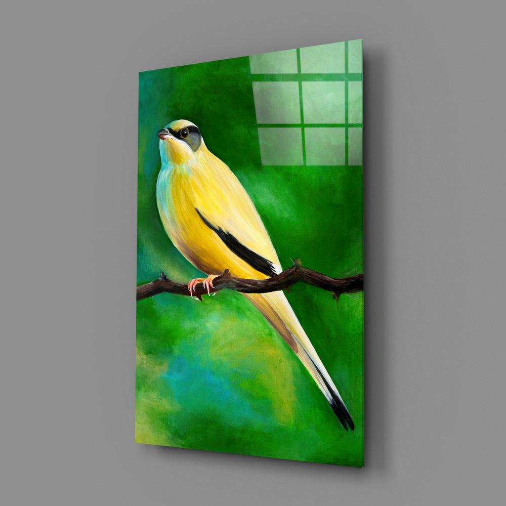 Songbird panel bringing garden warmth to a contemporary living space