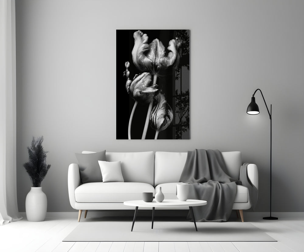 Close-up detail of ruffled silver tulip petals on velvet black