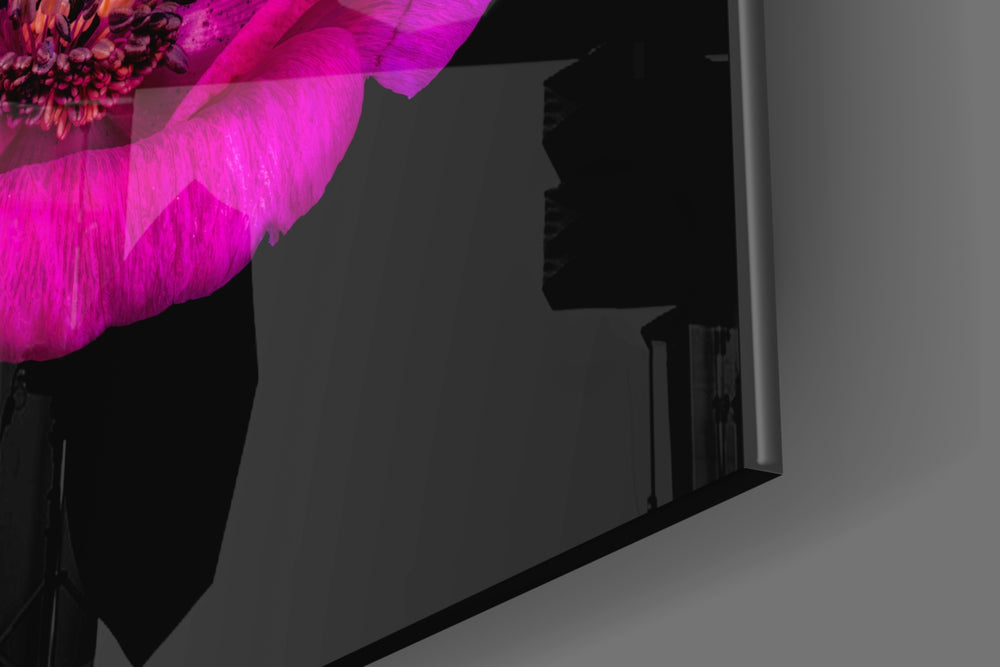 Crowned Mountain Tulip artwork anchoring a wall with bold botanical palette