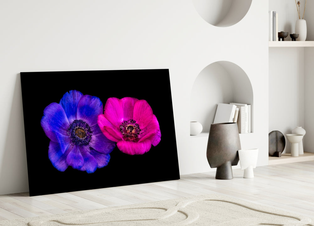 Close-up detail of indigo and magenta anemones with dark stamen