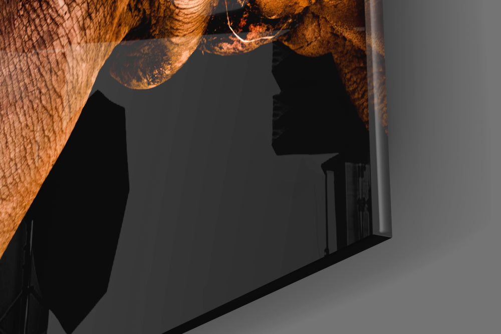 Rhino artwork anchoring a wall with moody naturalist palette