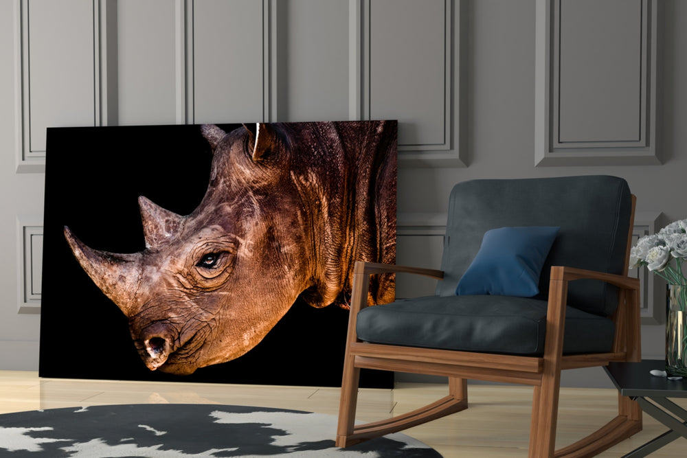Rhino glass print enhancing a foyer with editorial drama