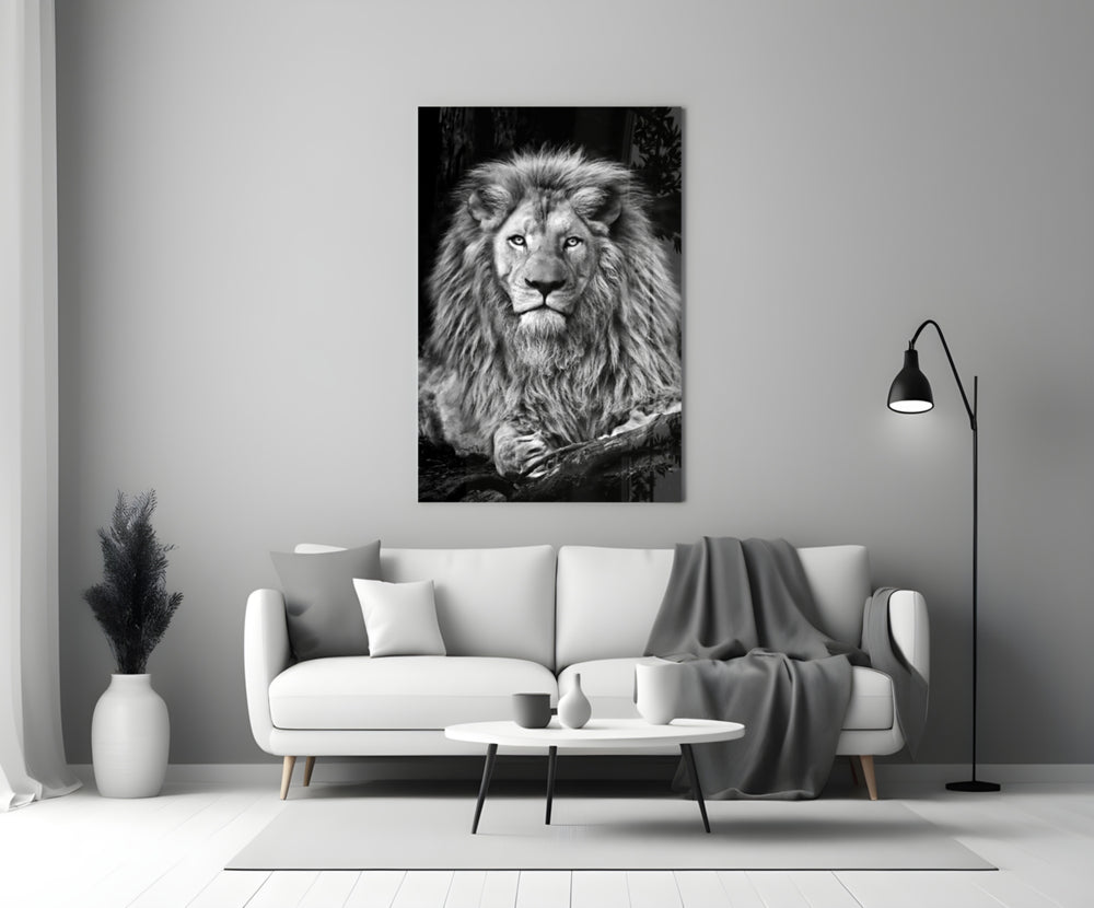 Close-up detail of monochrome lion behind glass