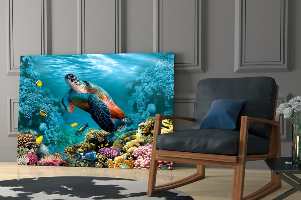 Underwater yatay panel against a sky-blue painted accent wall