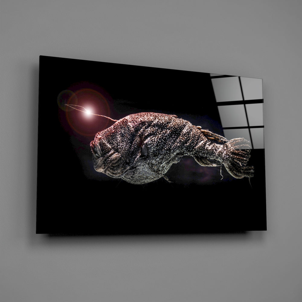 Marine panel anchoring a teen room wall