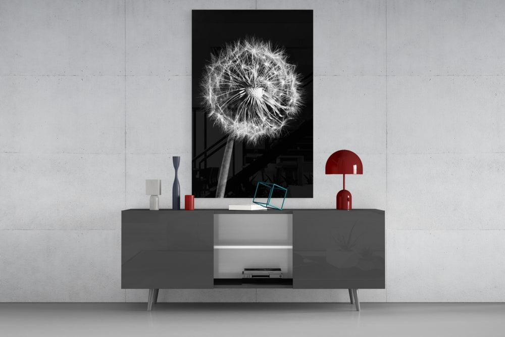 Dandelion glass wall art catching light to reveal its painted ivory fibres