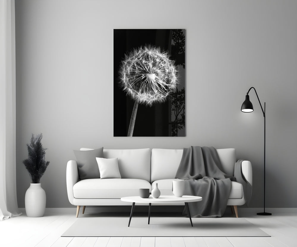 Close-up detail of dandelion pappus fibres behind glass