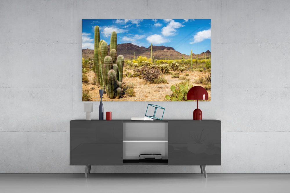 Cactuses glass wall art catching light to reveal its painted desert tones