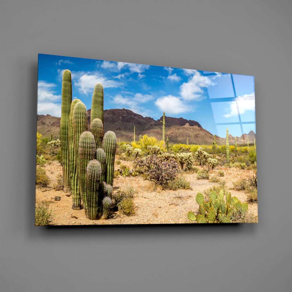 Desert landscape panel anchoring a hallway wall