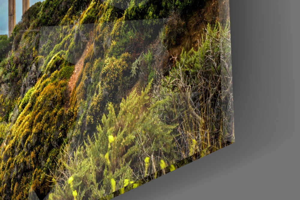 Cinematic artwork in a Pacific-coast-themed reading room interior