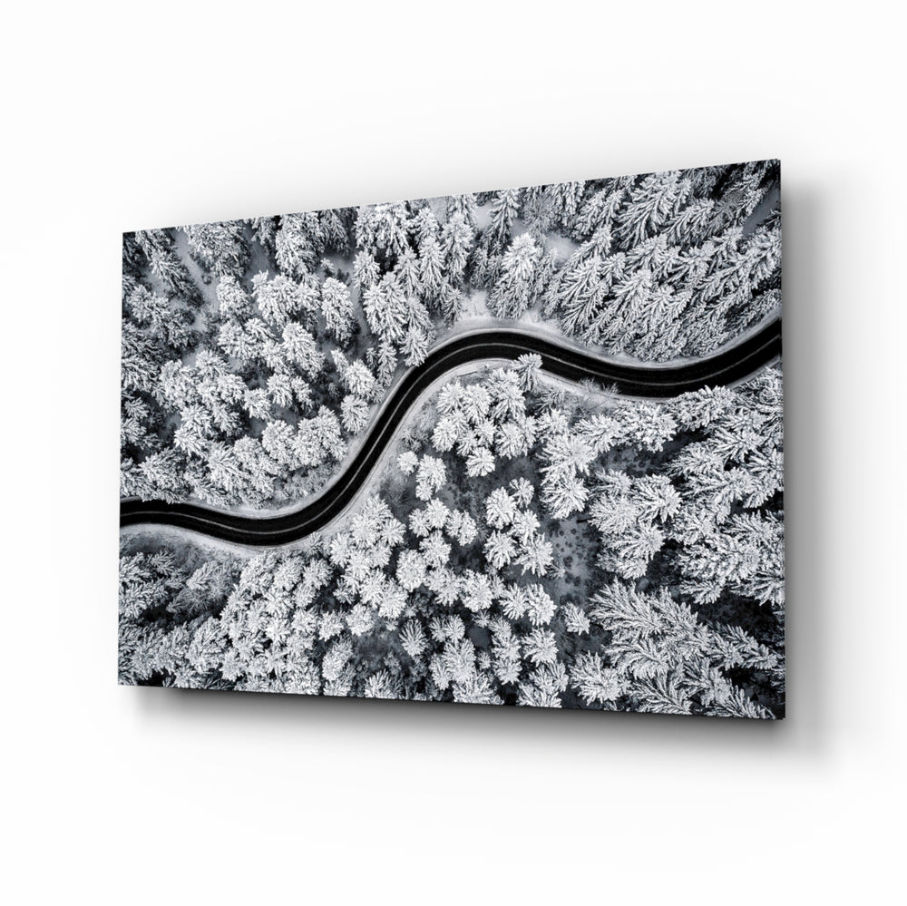 Forest Landscape glass wall art in a modern living room