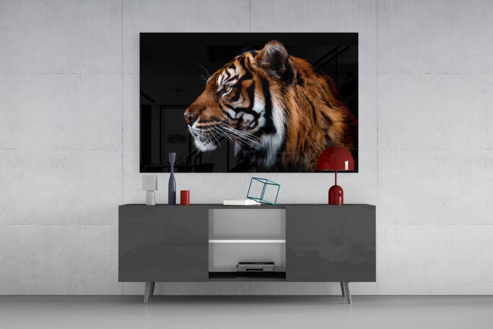 Tiger glass wall art catching light to reveal its painted Bengal coat