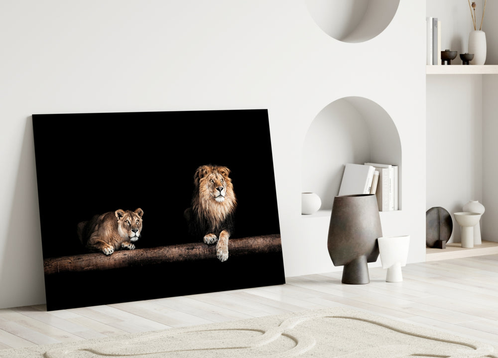 Close-up detail of lion couple on russet log behind glass