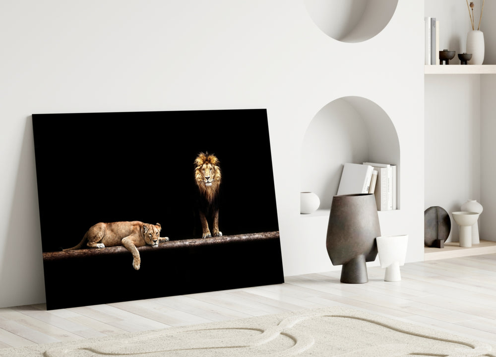 Close-up detail of standing male lion and resting lioness behind glass