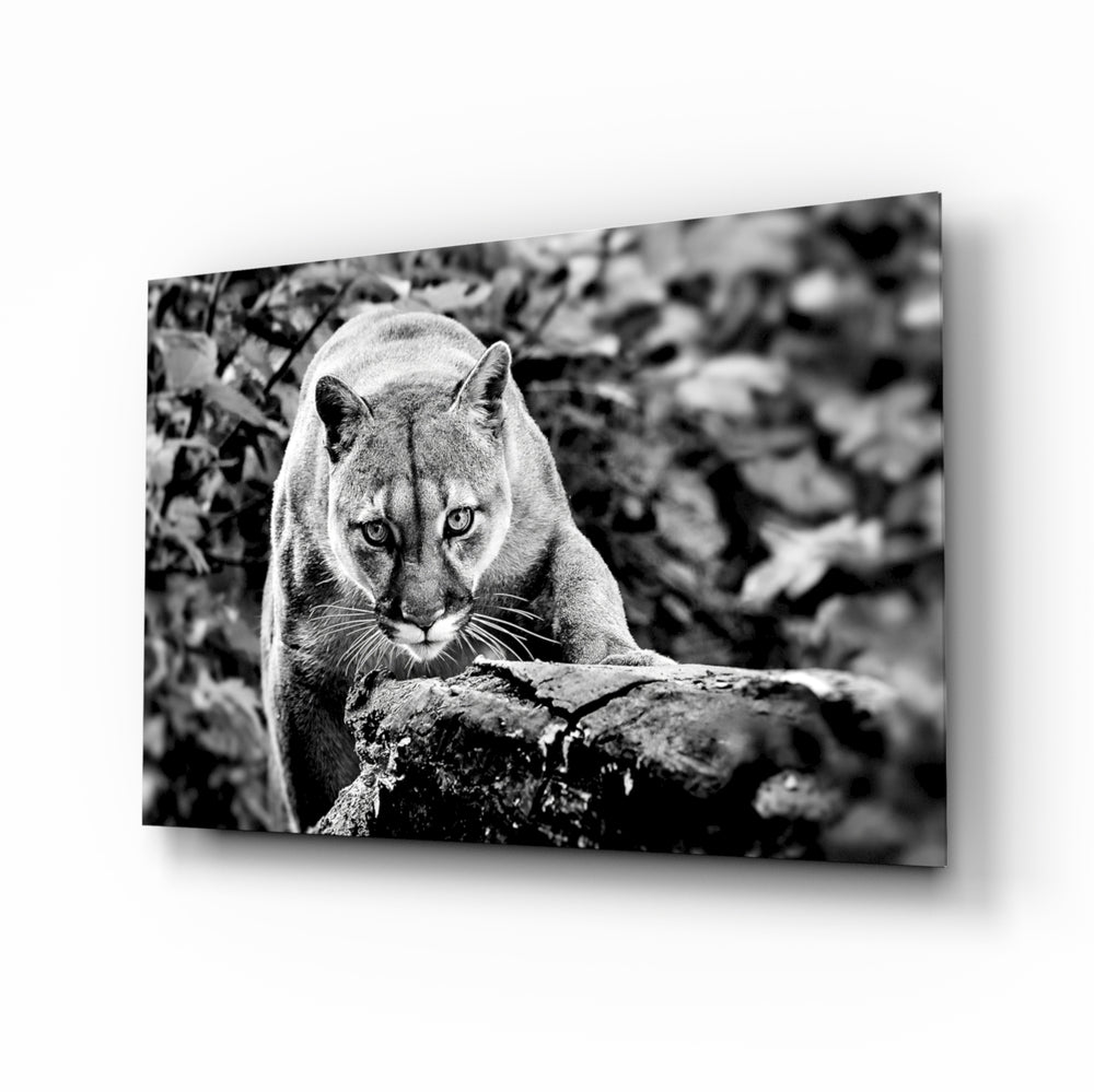 Puma glass wall art in a modern living room