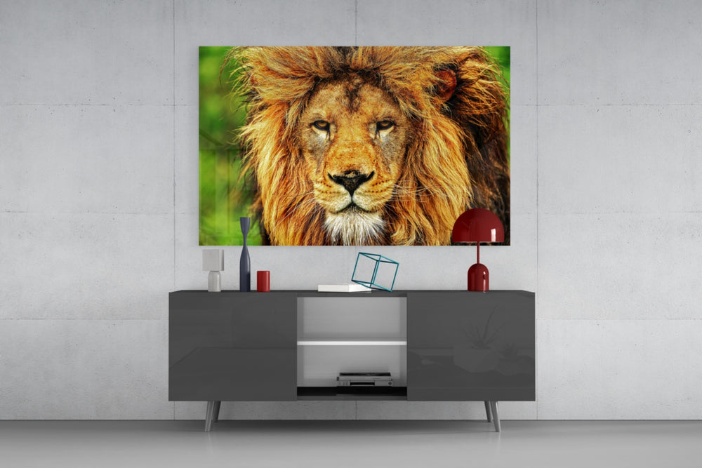 Lion glass wall art catching light to reveal its painted russet mane