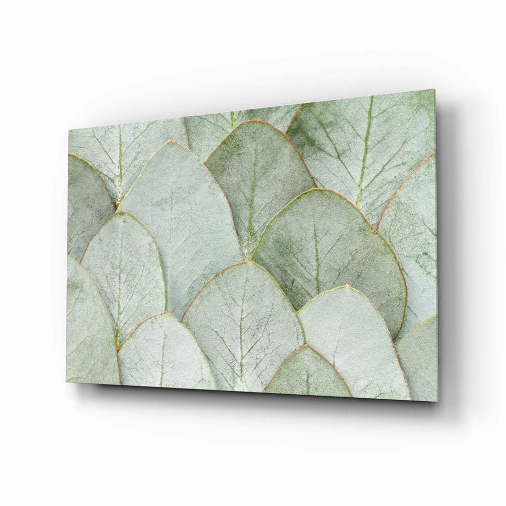 Sage eucalyptus leaves botanical cinematic glass wall art over walnut console in designer bedroom