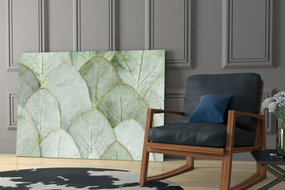 Eucalyptus poster cinematic glass wall art in heritage hallway