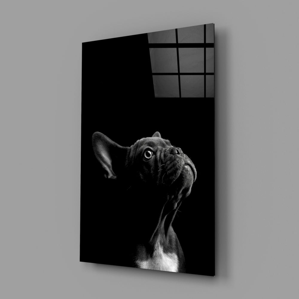 Fine-art Frenchie pet glass wall art in designer entryway