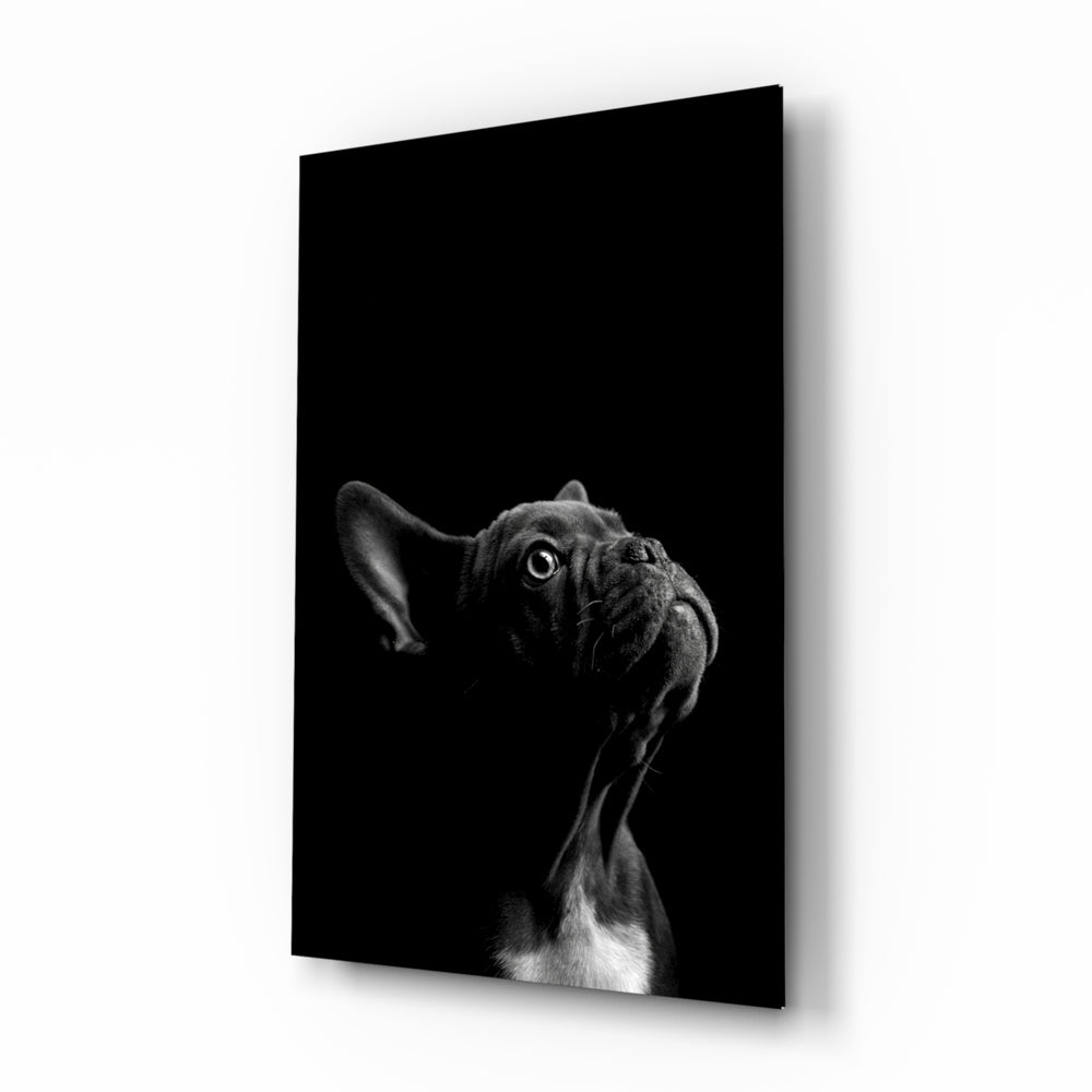 French Bulldog B&W portrait cinematic glass wall art beside leather chair in gentleman's study