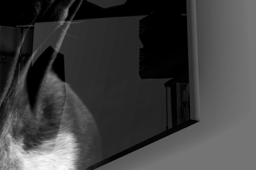 Editorial bulldog cinematic glass wall art in luxury powder-room