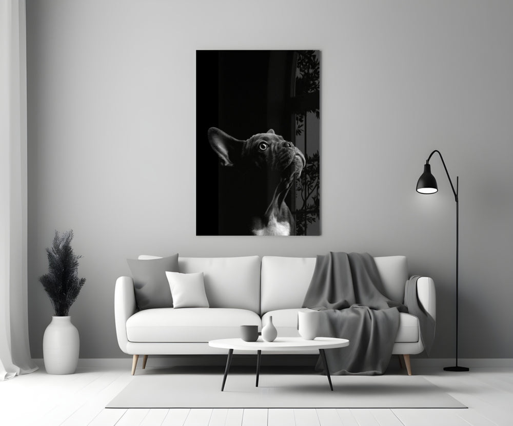 B&W bulldog cinematic glass wall art in pet-friendly living room