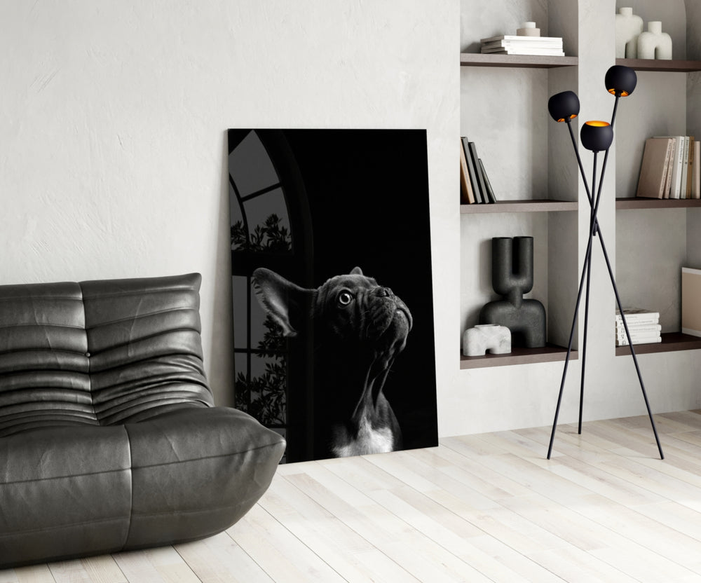 Void-black bulldog cinematic glass wall art over walnut console