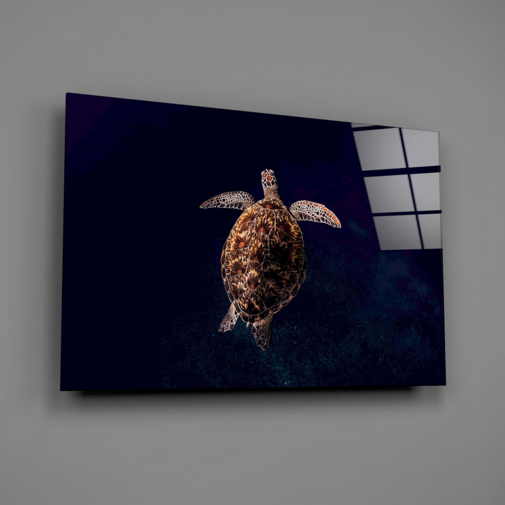 Marine turtle documentary glass wall art over walnut console in maritime study