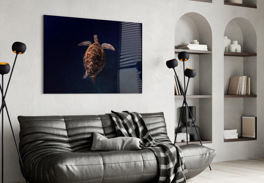 Hawksbill turtle cinematic glass wall art in wellness studio reception