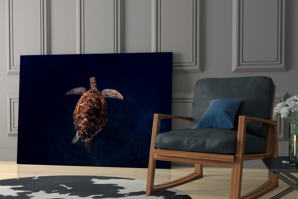Top-down turtle cinematic glass wall art in study reading nook