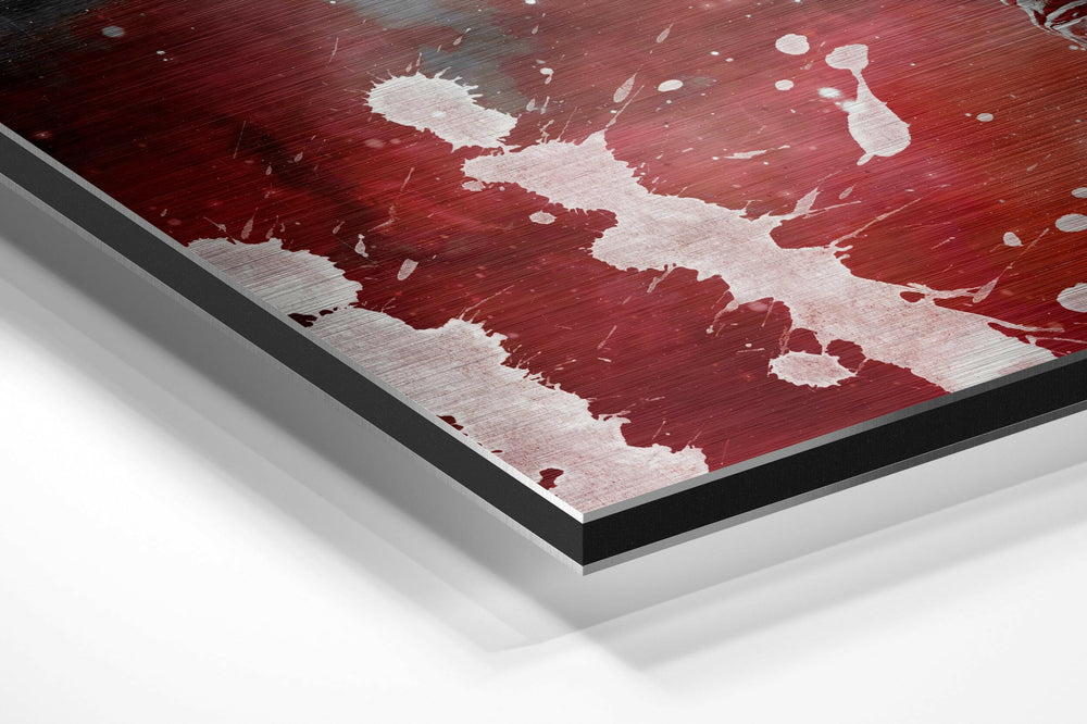 Fly in Space Brushed Aluminium Dibond Wall Art.