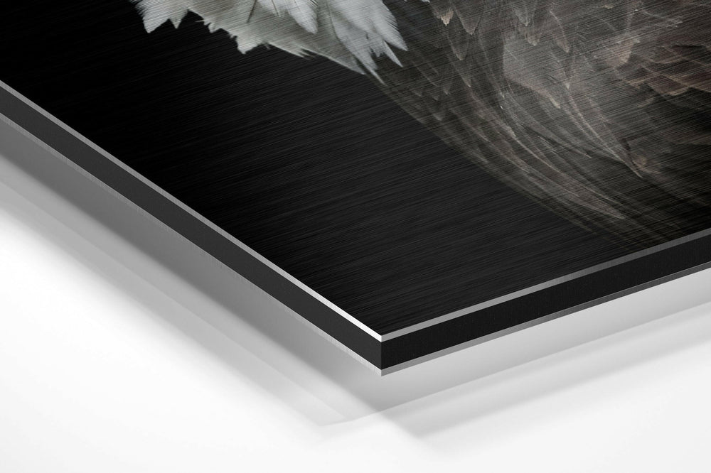 Eagle Brushed Aluminium Dibond Wall Art.