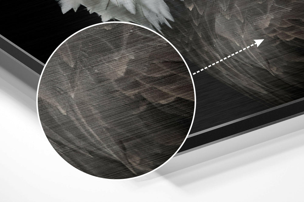 Eagle Brushed Aluminium Dibond Wall Art.