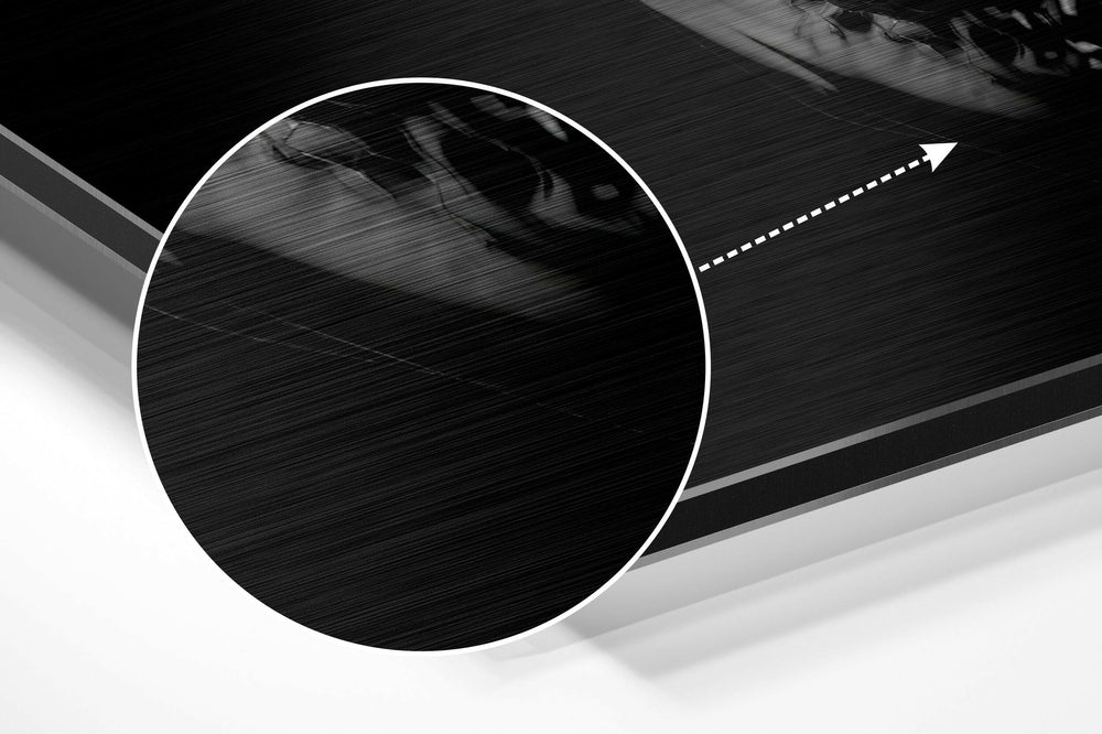 Skull Brushed Aluminium Dibond Wall Art.