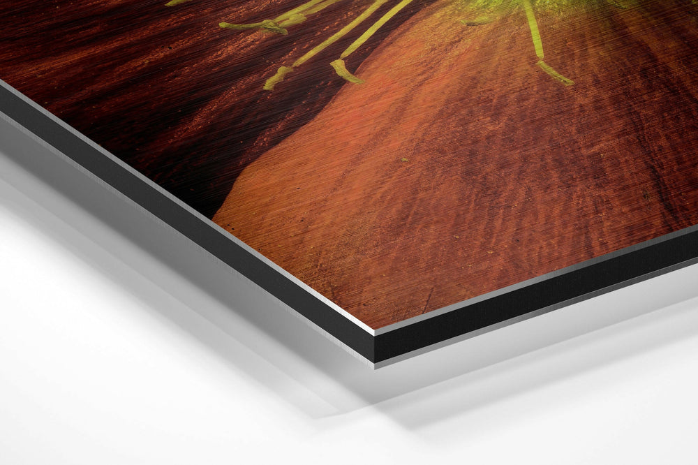 Flower Brushed Aluminium Dibond Wall Art.
