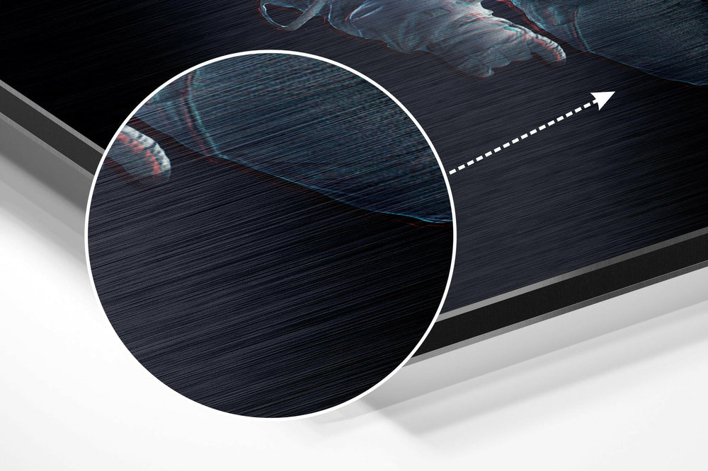 Space Traveller Brushed Aluminium Dibond Wall Art.