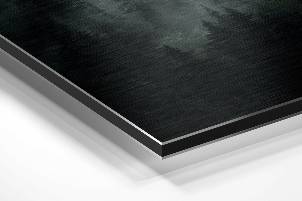 Forest Brushed Aluminium Dibond Wall Art.