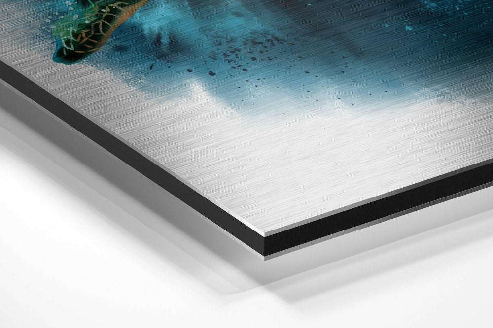Turtle Brushed Aluminium Dibond Wall Art.