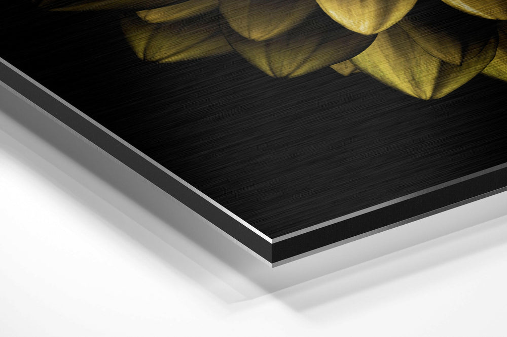 Flower Brushed Aluminium Dibond Wall Art.
