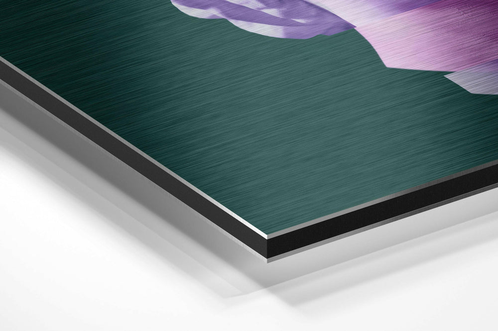 The Art of Sculpture Brushed Aluminium Dibond Wall Art.