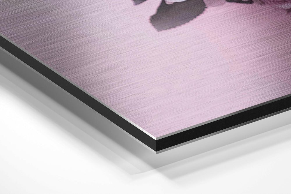 Cute Skull Brushed Aluminium Dibond Wall Art.